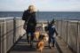 to personer med hunde