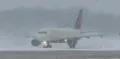 et fly i snestorm