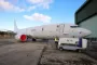 et fly på en base