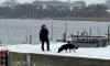 betjent med hund afsøger kaj