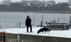 betjent med hund afsøger kaj