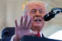 donald trump taler