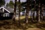 sommerhus mellem træer