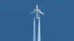 Et fly i luften set nedefra