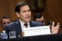 marco rubio taler 