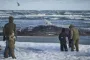 død hval på strand