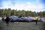 en død hval på stranden