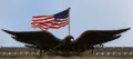 stars and stripes og en ørn