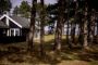 sommerhus i en skov