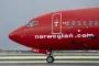 fly på jorden