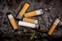 cigaretskodder