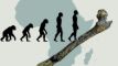 Tegning af evolution fra abe til menneske