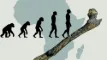 Tegning af evolution fra abe til menneske