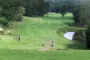 golfbane