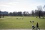 et landskab / park