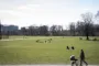 et landskab / park