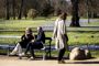 en park med folk i forårssolen