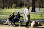 en park med folk i forårssolen