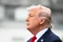 Trump stirrer