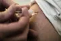 en bliver vaccineret