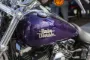 Harley Davidson MC