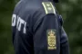 dansk politi