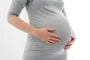 Gravid mavse