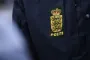 dansk politi