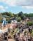 Festivalen
