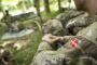 Forsvaret soldater