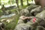 Forsvaret soldater