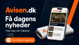 Få dagens vigtigste nyheder direkte fra Avisen.dk