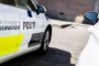 dansk politi