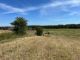 Bellinge natur