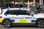 dansk politi