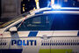 dansk politi