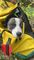 hunden 