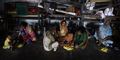 Foto: Biswaranjan Rout AP