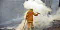 Foto: Paul Miller AP