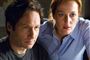  Foto: AP/20th Century Fox, Diyah Pera / POLFOTO