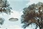 UFO-billede fra USA 16. juni 1963. Personen, der tog billedet, snakkede angiveligt med UFO'ens ni ombordværende. Ingen ved dog om hvad.
 Foto: Foto: AP / POLFOTO