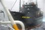  Foto: AP/Institute of Cetacean Research / POLFOTO