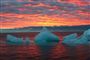 Nordirlands miljøminister mener ikke, at mennesker er skyld i den globale opvarmning.
 Foto: AP Photo/Arctic Sounder, Beth Ipsen / POLFOTO