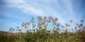 Foto: Colourbox free
