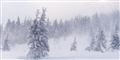 Foto: Colourbox free