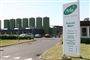 Familien er i Saudi-Arabien, fordi faren er udstationeret for mejerigiganten Arla.
 Foto: Arlafoods