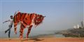 Foto: Rafiq Maqbool AP