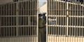Foto: AP/Saurabh Das AP