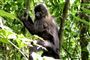  Foto: Duncan Wright / GNU Free Documentation License