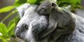 Foto: AP AP